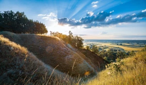 Usługi YLVA: oferta, cennik, opinie i praktyczny przewodnik jak wybrać najlepszy pakiet dla małej firmy